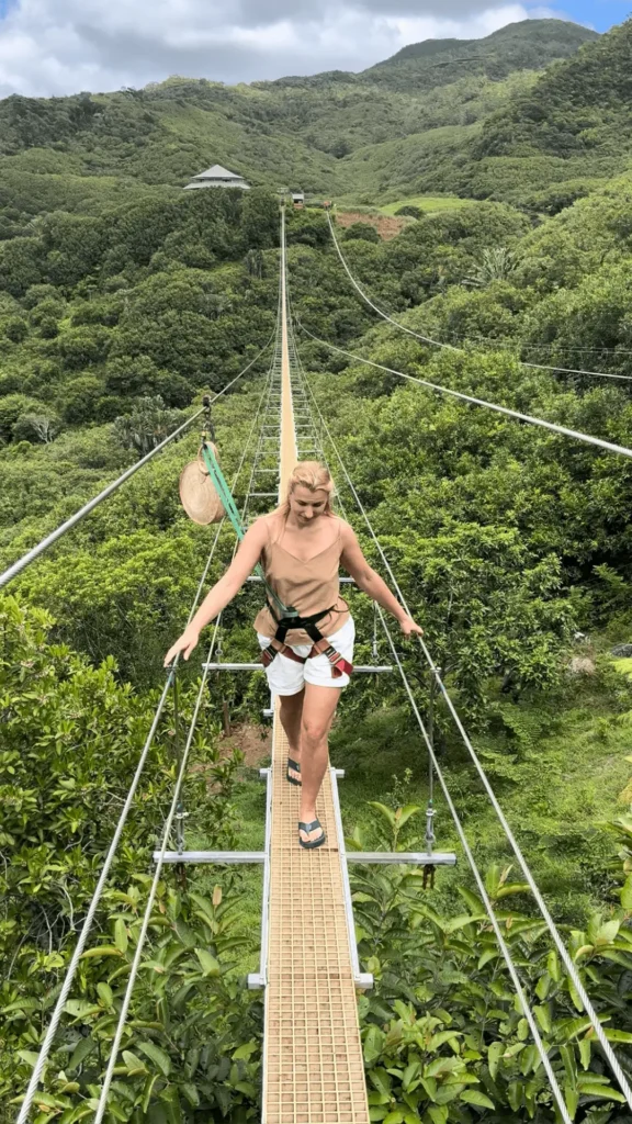 подвисной мост на маврикий